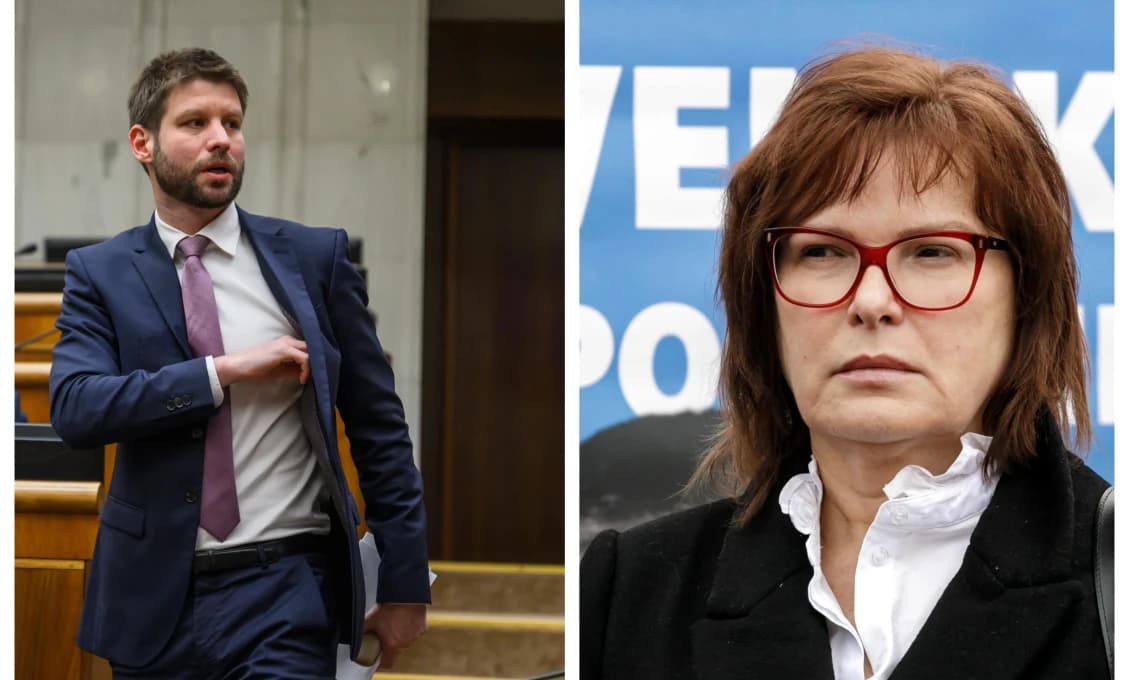 Pán Šimečka, sú aj Trump a Musk blázni?