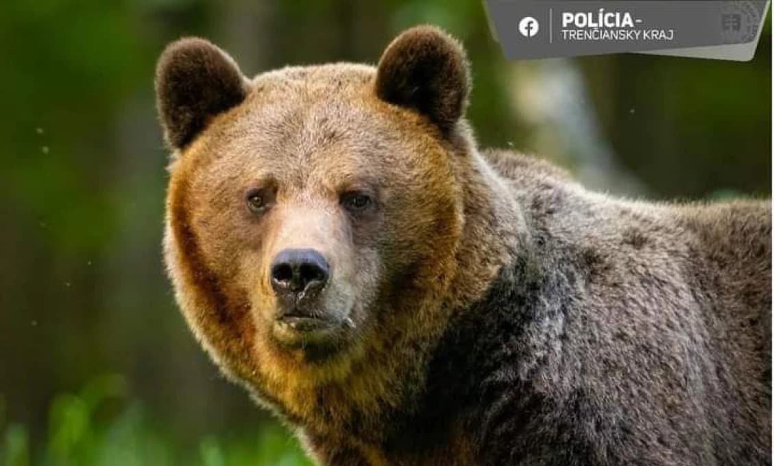 Poplach v okrese Ilava pokračuje