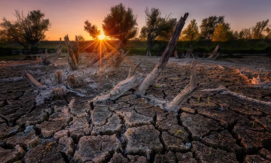 Extrémne sucho na Považí, Slovensko čelí kritickému nedostatku vlahy