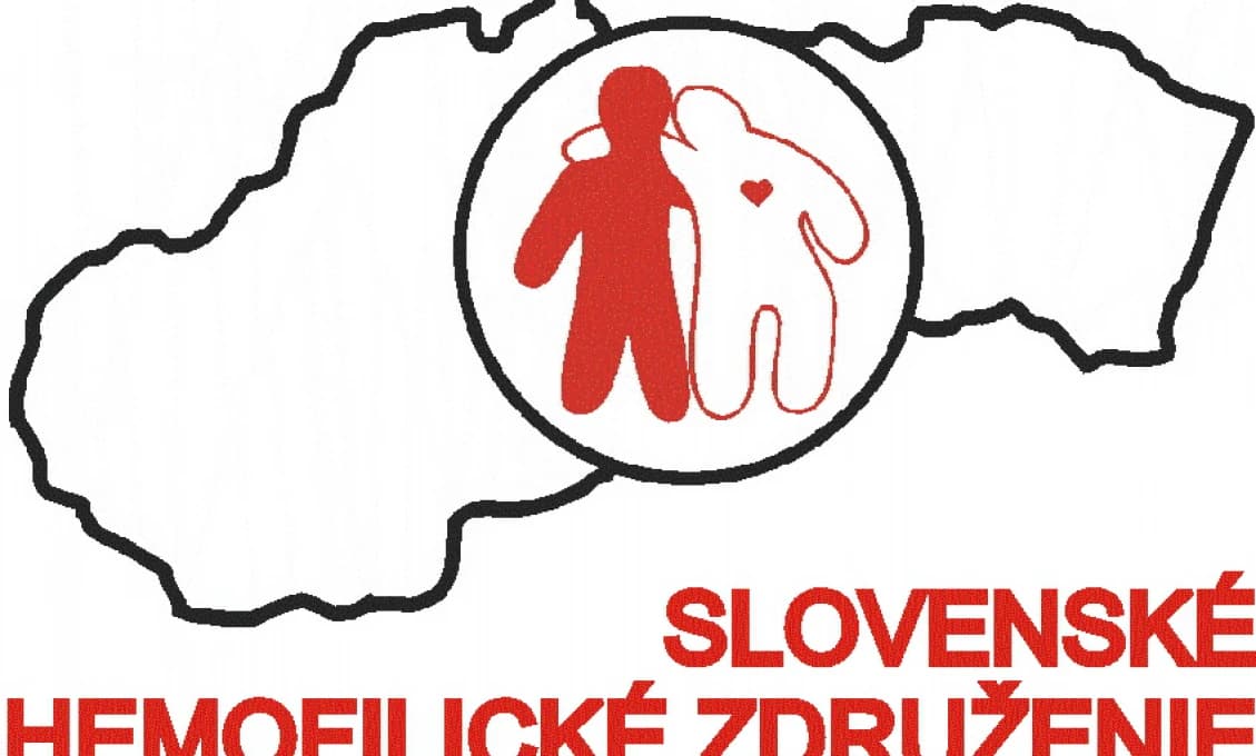 V Prešovskom a Žilinskom kraji zasahovalo pre počasie 123 hasičov