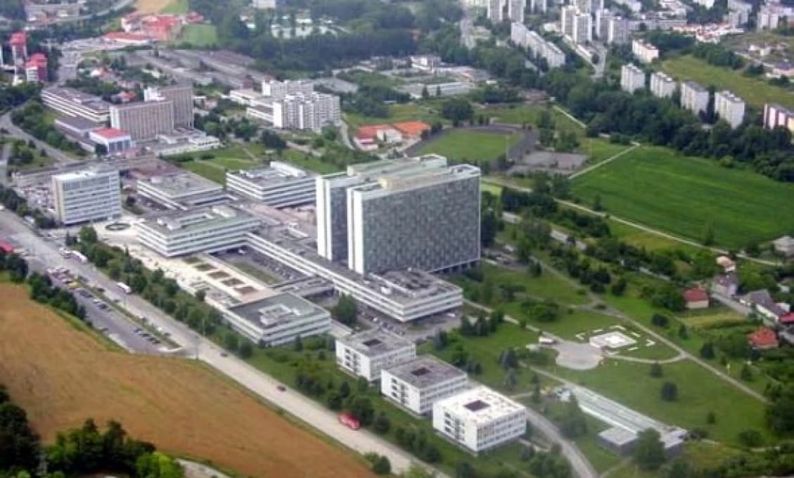 Tichý ZABIJAK z lesa: Banskobystrickí lekári bojujú s parazitom, ktorý vám zožerie pečeň
