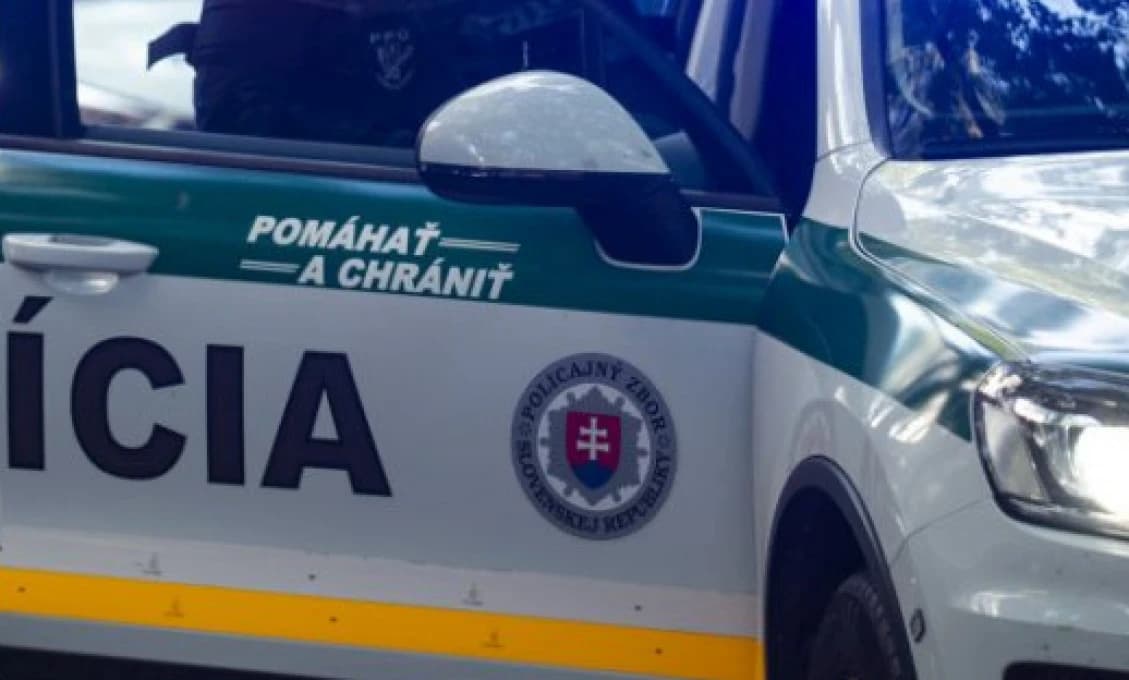 Neľudská krutosť: Žrebca nechal slepého ležať v bolestiach (FOTO)