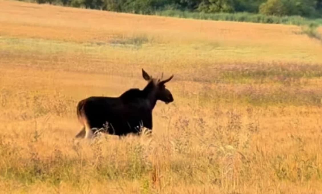 Los Emil je tu! Celebrita leta zavítala na Slovensko (VIDEO)