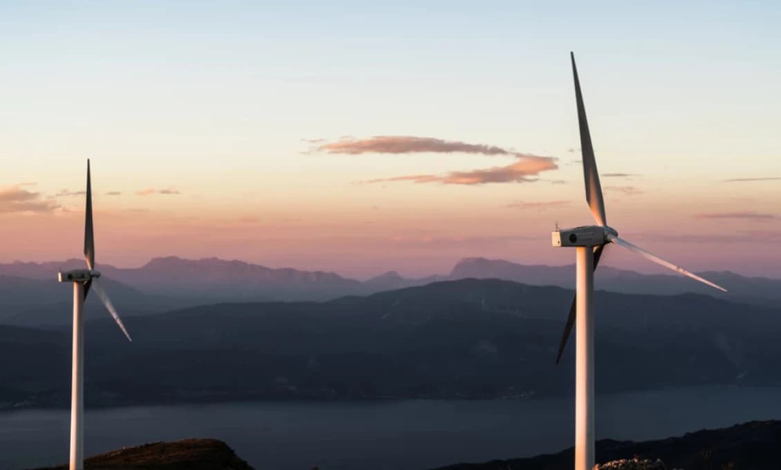 Nový nápad z Nemecka. Vyrúbať les a namiesto neho postaviť niekoľko veterných elektrární