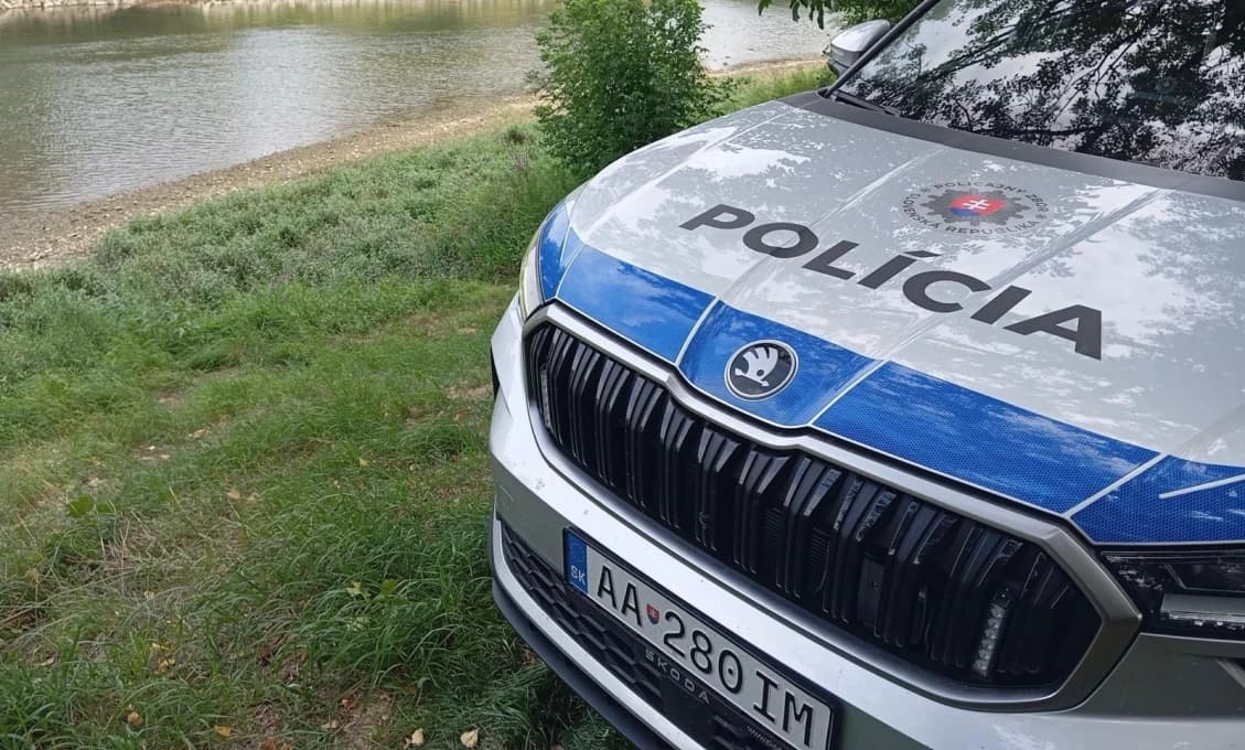 Psy prežívali v debnách s potkaním trusom, veterinári svorku zabavili