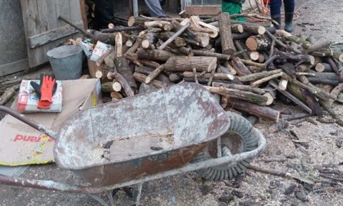 SHO: Mama troch detí z okresu Nové Zámky prosí o pomoc s palivovým drevom