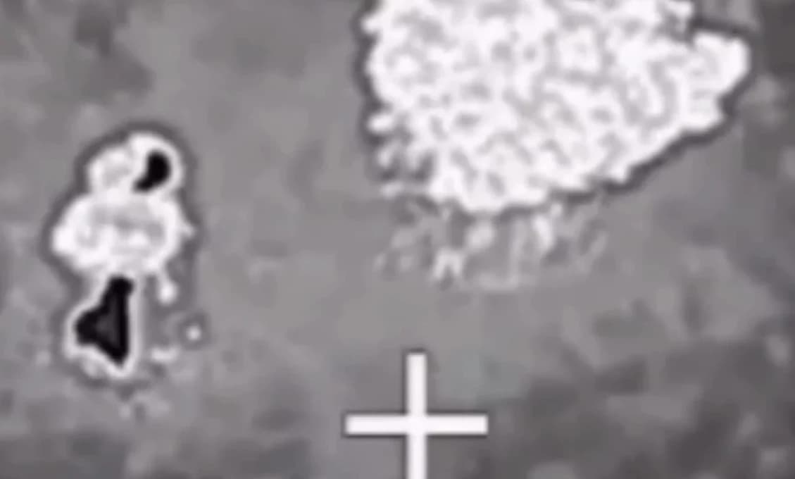 Sexy Dara Rolins priznala traumu! Prečo sa hanbila vyzliecť pred priateľom?