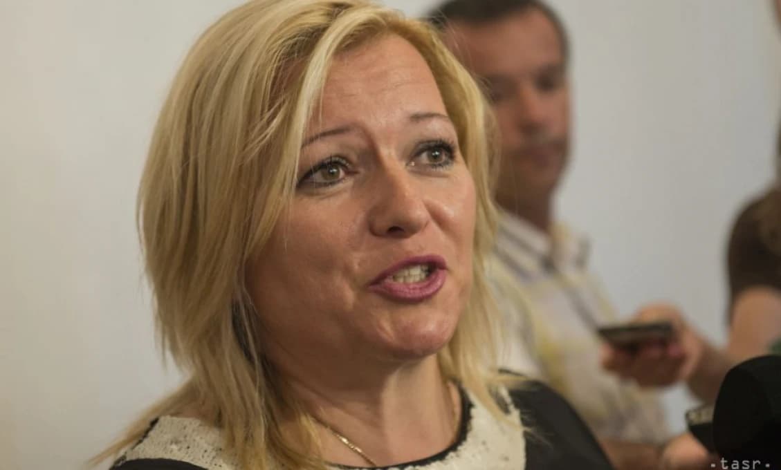 Komentár Petra Králika: Nemecko a Holandsko Šefčoviča vysmiali s jeho revíziou smernice o plyne