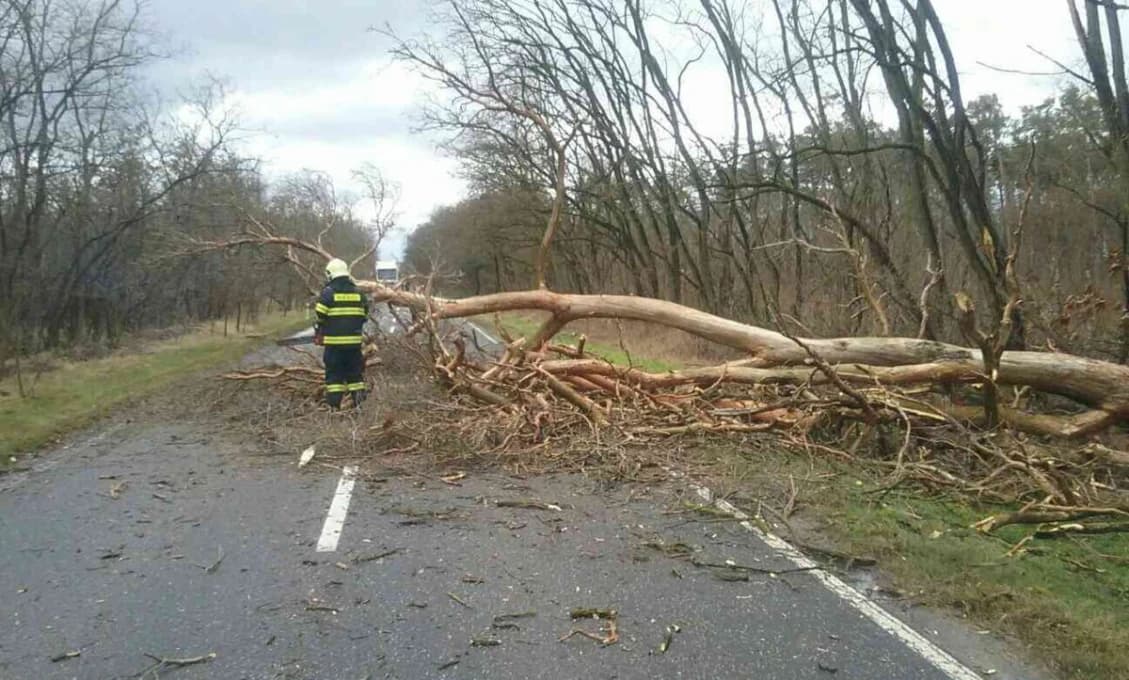 Obyvatelia Walesu oslavujú na Deň sv. Davida svoju kultúru a dedičstvo