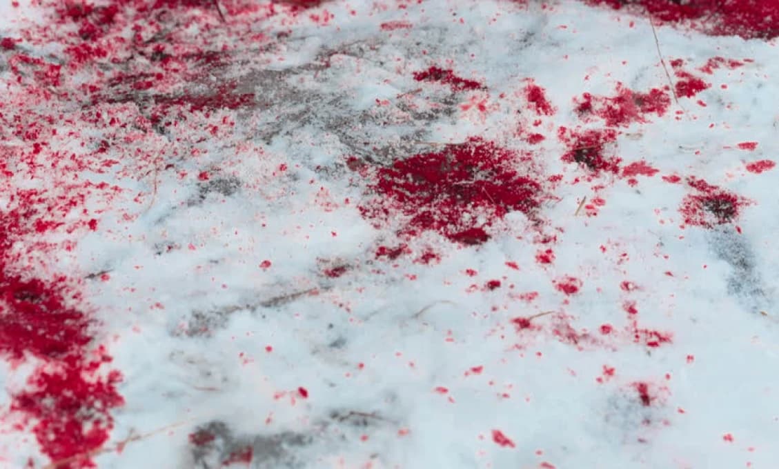 Glosa Juraja Štubniaka: S dušou plnou SMERu