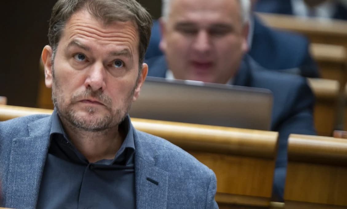 Pri havárii lietadla zahynula rodina poslanca A. Hrnka