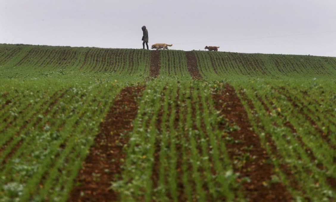 Po ďalšej bitke na poliach plánujú agrorezort a PPA legislatívne zmeny na ochranu poctivých farmárov