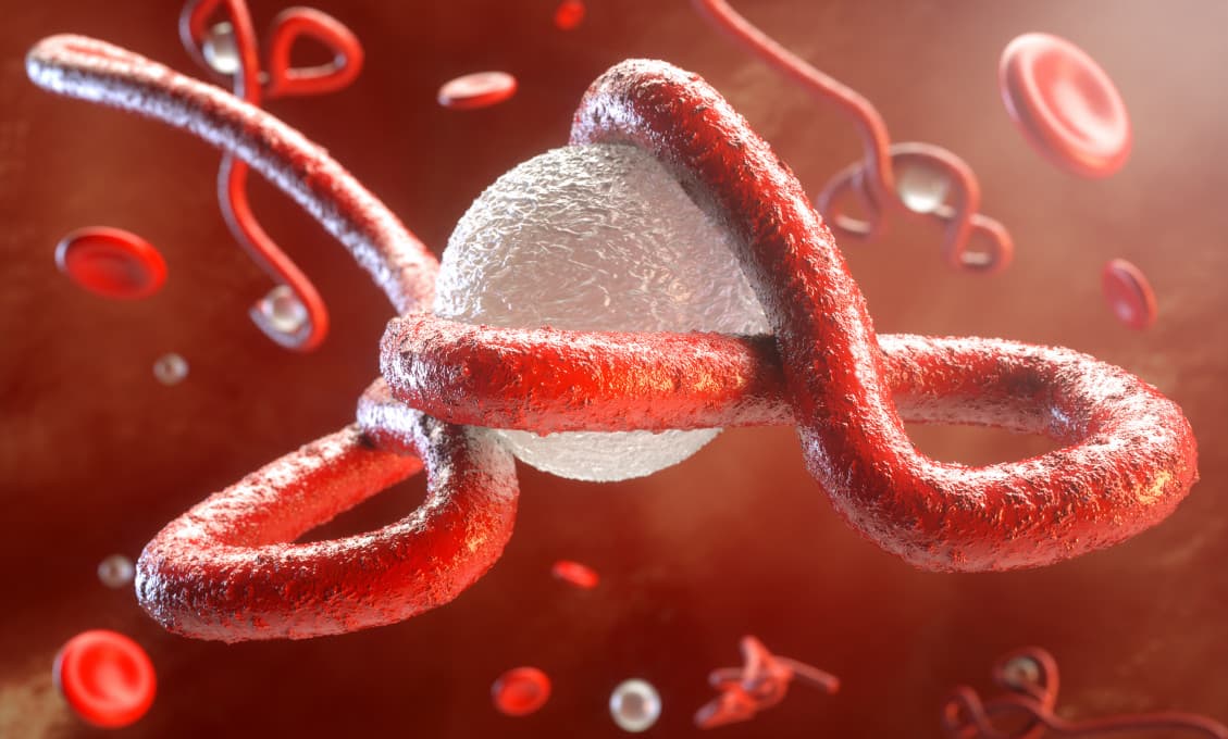 Na severe Konžskej demokratickej republiky sa začala znova šíriť ebola