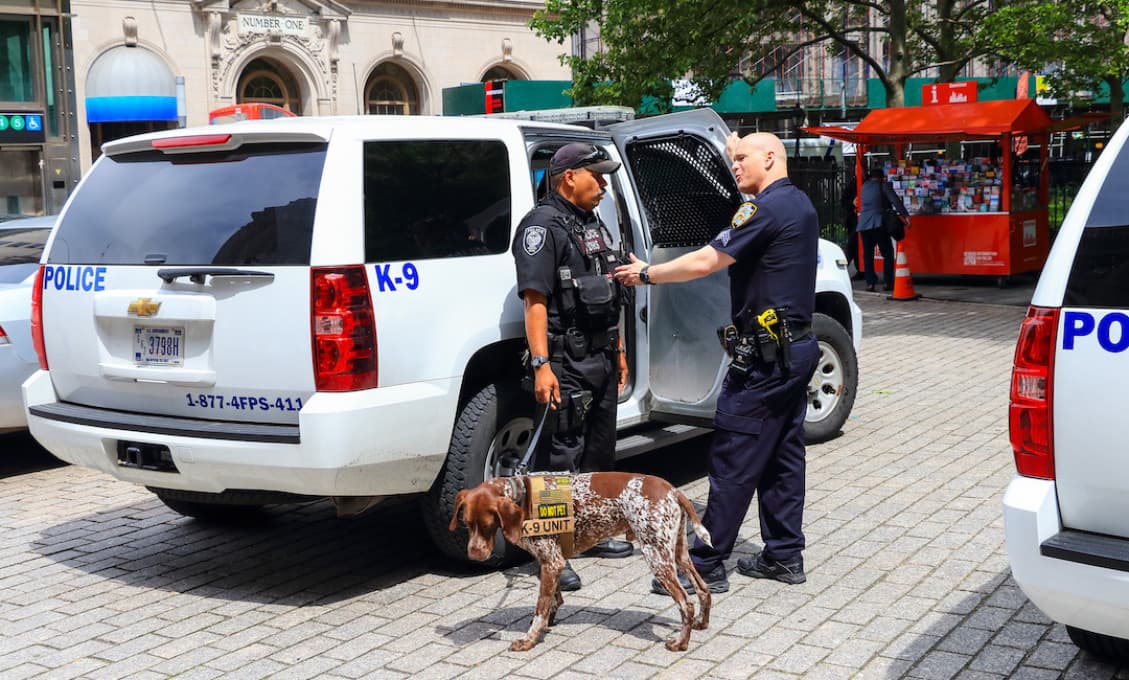 OSN by mala spustiť vyšetrovanie policajnej brutality v USA