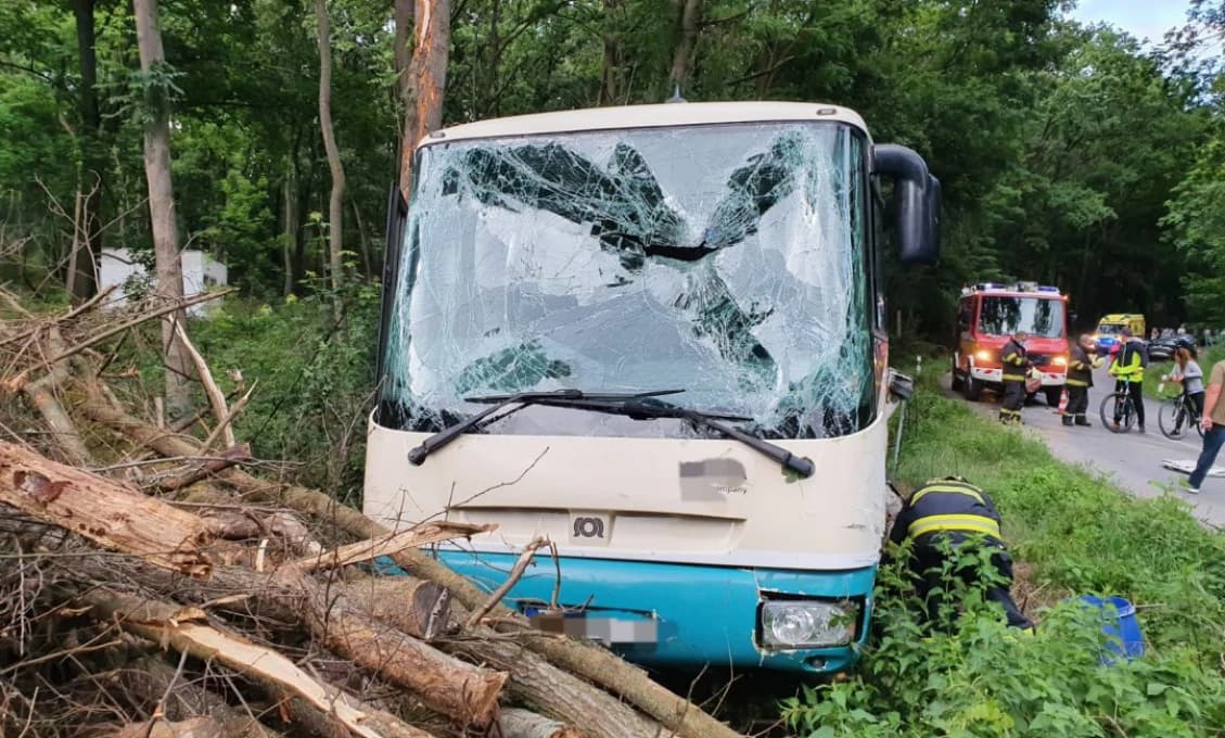 V obci Jarok sa zrazilo auto s autobusom (foto)