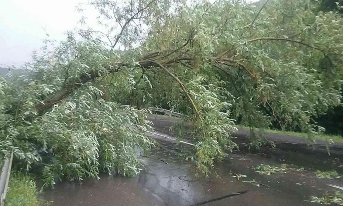 SHMÚ varuje pred silným vetrom na juhovýchode Slovenska