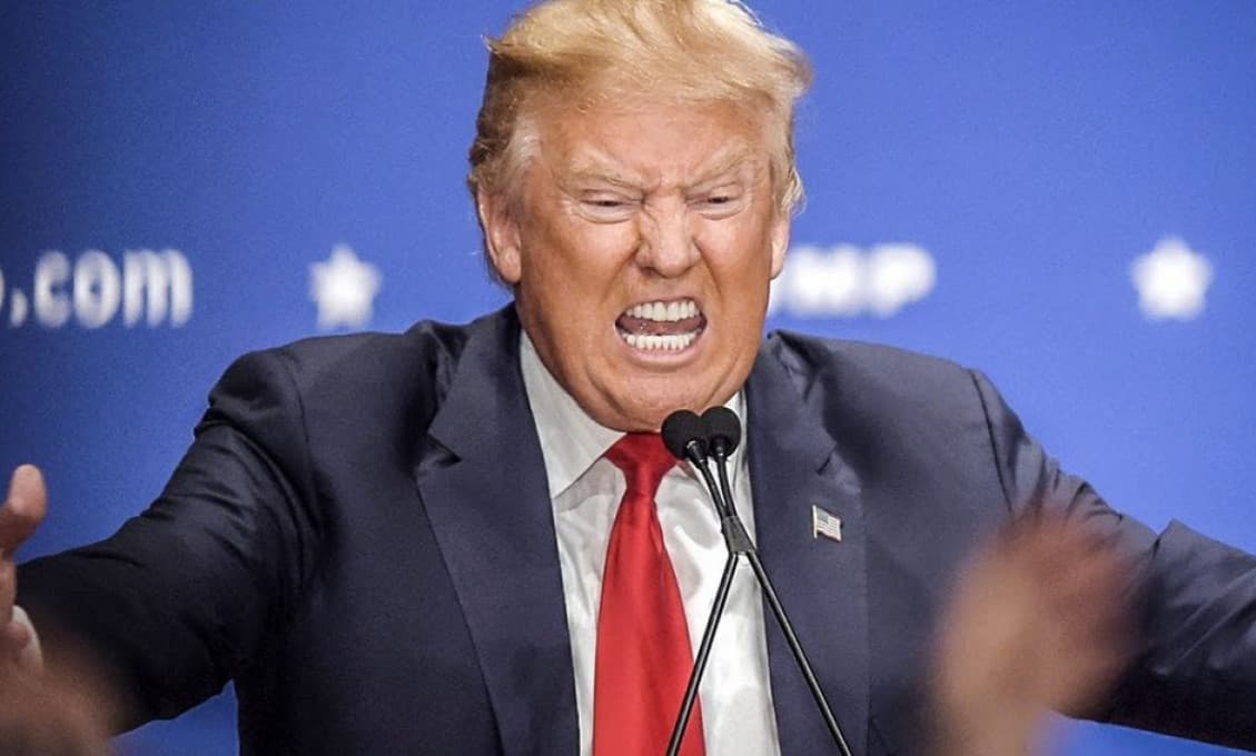 Priaznivci Trumpa menia názor: „Radšej by som volil tuniakový sendvič.“