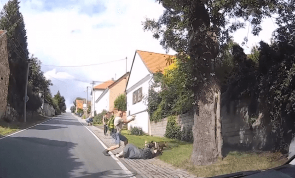 Na ženu v Plzni zaútočil staford: Jej syn vytiahol zbraň a začal strielať (VIDEO)