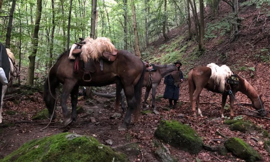 Horskí záchranári pomáhali jazdcom na koňoch, ktorí uviazli v pohorí Malej Fatry