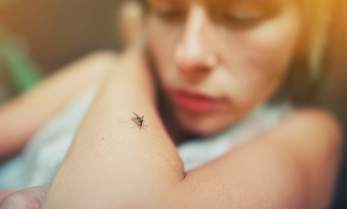 Ako si komáre vyberajú svoje obete a prečo niektorí ľudia majú na nich jednoducho “smolu”?