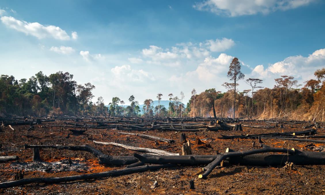 Brazília avizuje, že zastaví aktivity proti odlesňovaniu krajiny