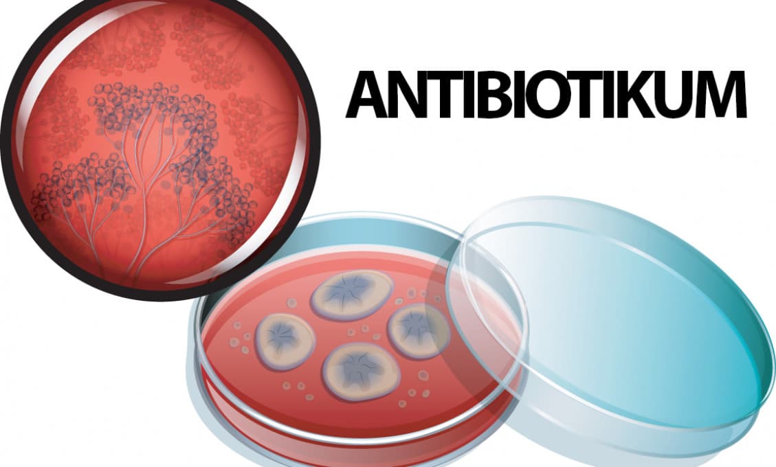 V Rusku objavili revolučné prírodné antibiotikum