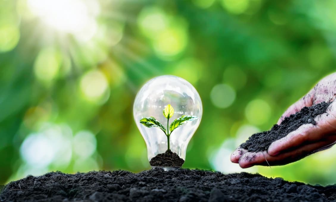 Samotná obnoviteľná energia ľudstvo nenasýti (Vladimír Micheev)