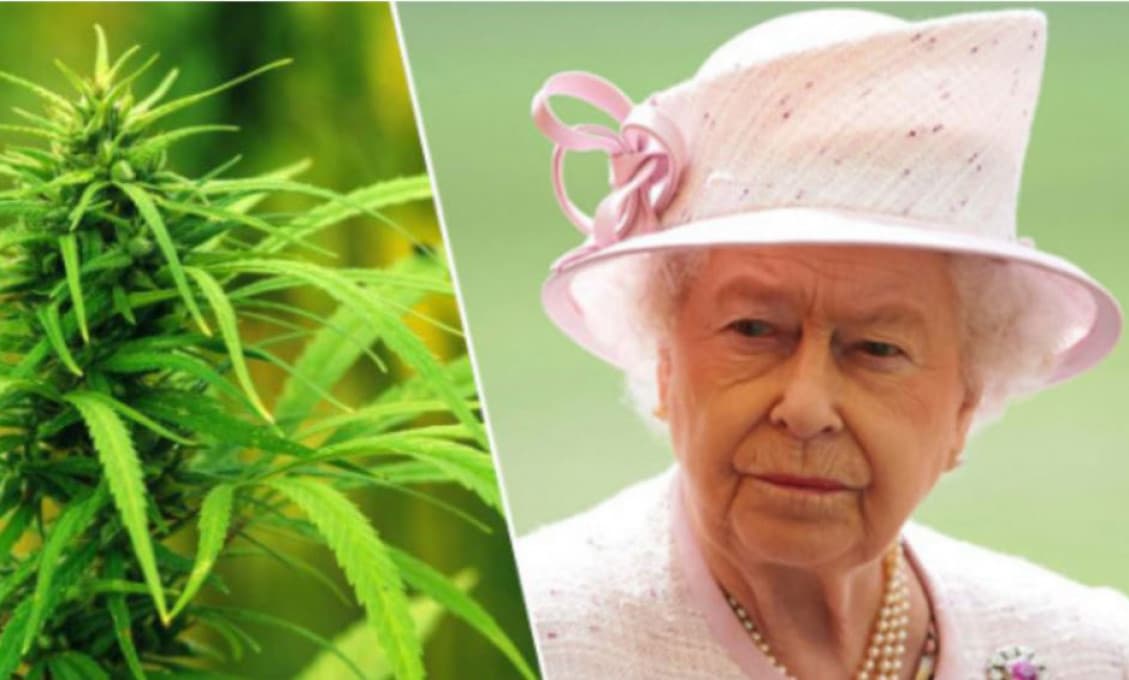 SaS: Britská kráľovná predáva nápoj s marihuanou. Čoskoro ho dostanete aj u nás!