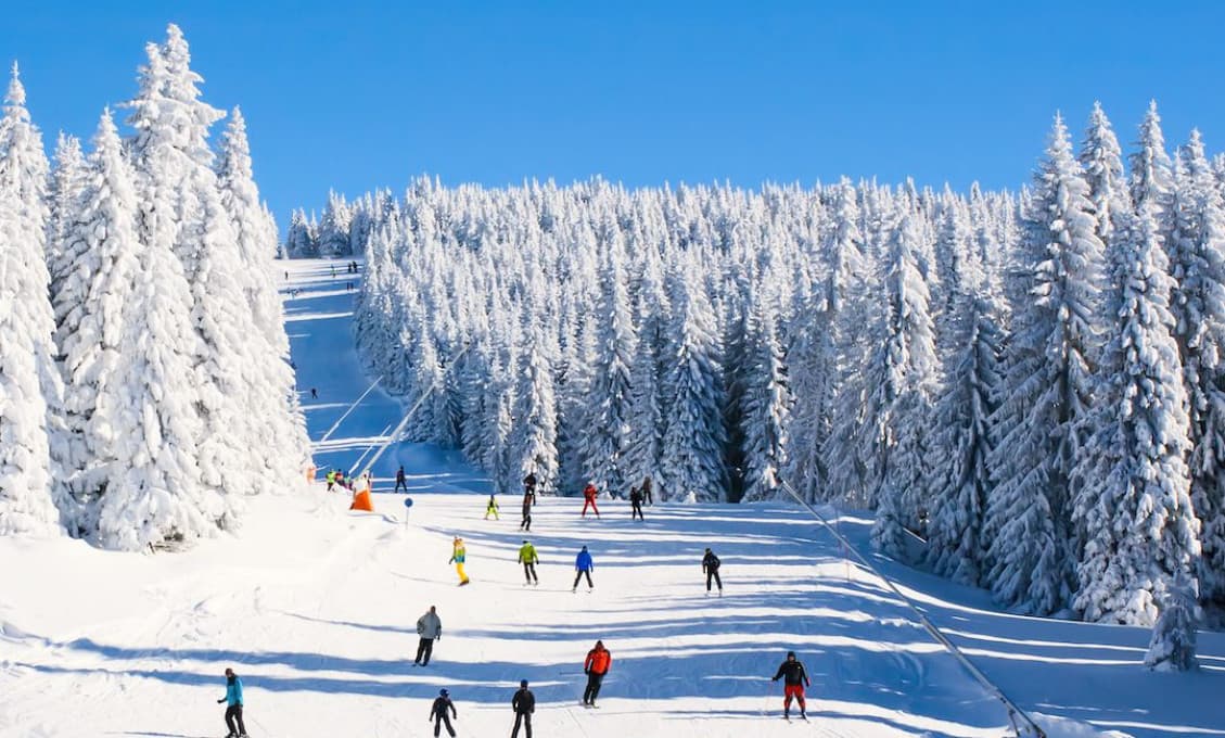 V Česku sa napriek zákazom rozbehli vleky