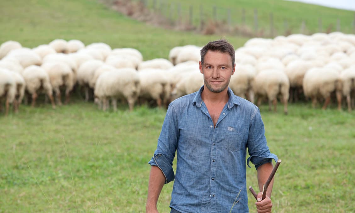 Matovič sa správa ako bača na salaši a nás má ako svoje ovce (Imrich Kovačič)