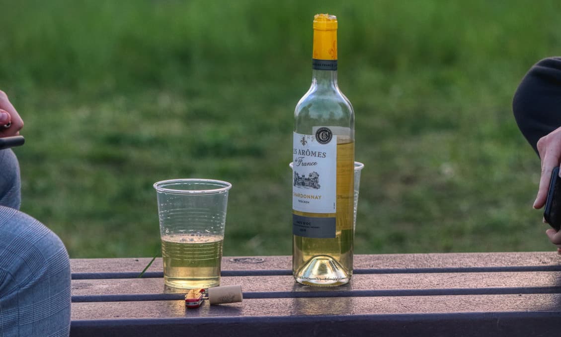 Súčasný stav budúcej inteligencie Slovenska - alkoholizmus a depresie vysokoškolákov