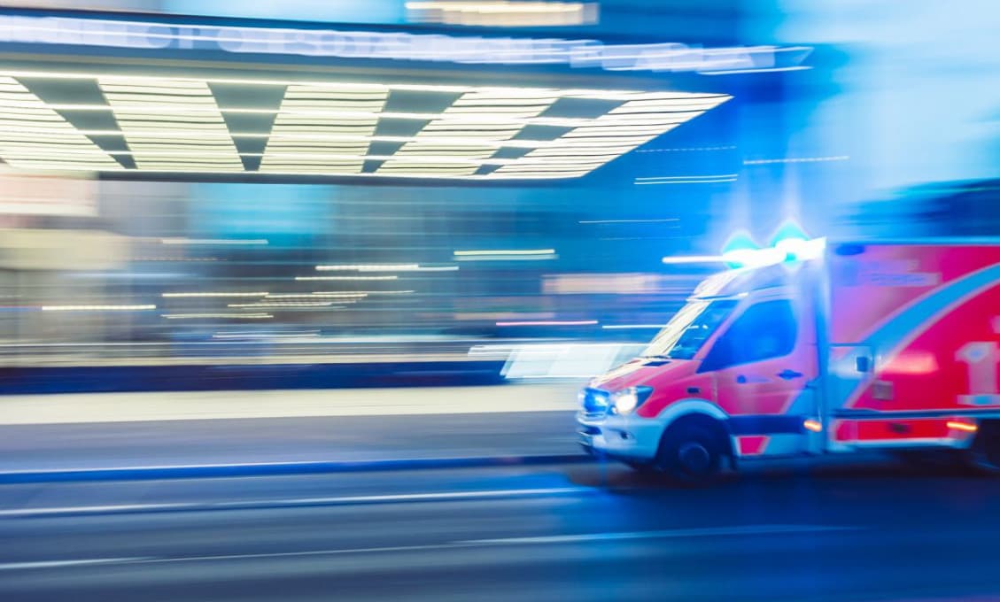 Diviak napadol v centre Plzne muža