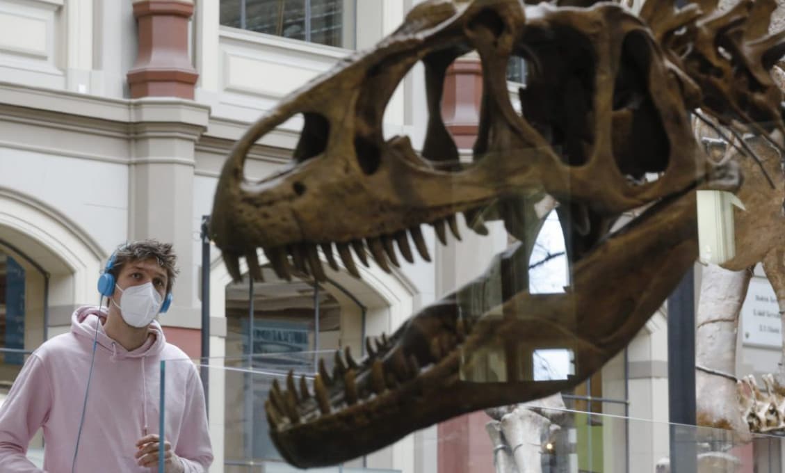 V Argentíne objavili skamenené pozostatky doteraz neznámeho dinosaura