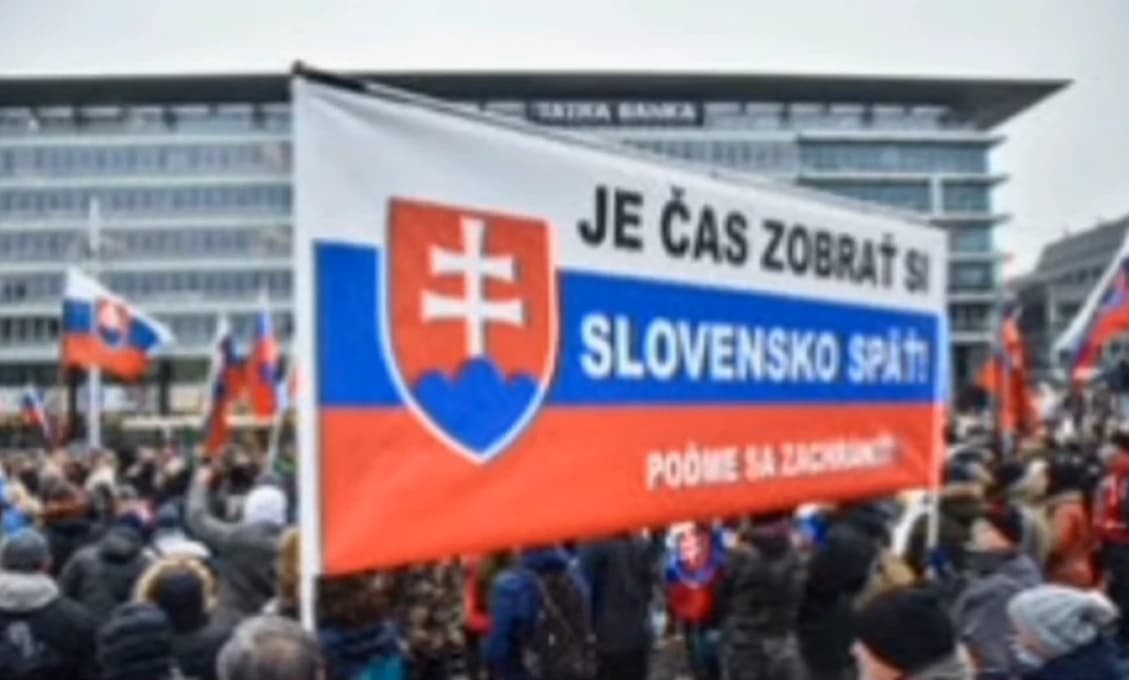 Zuzana Šubová: Dôvod môjho odchodu zo strany SPOLU sa týkal previazanosti na firmu Deloitt v strane