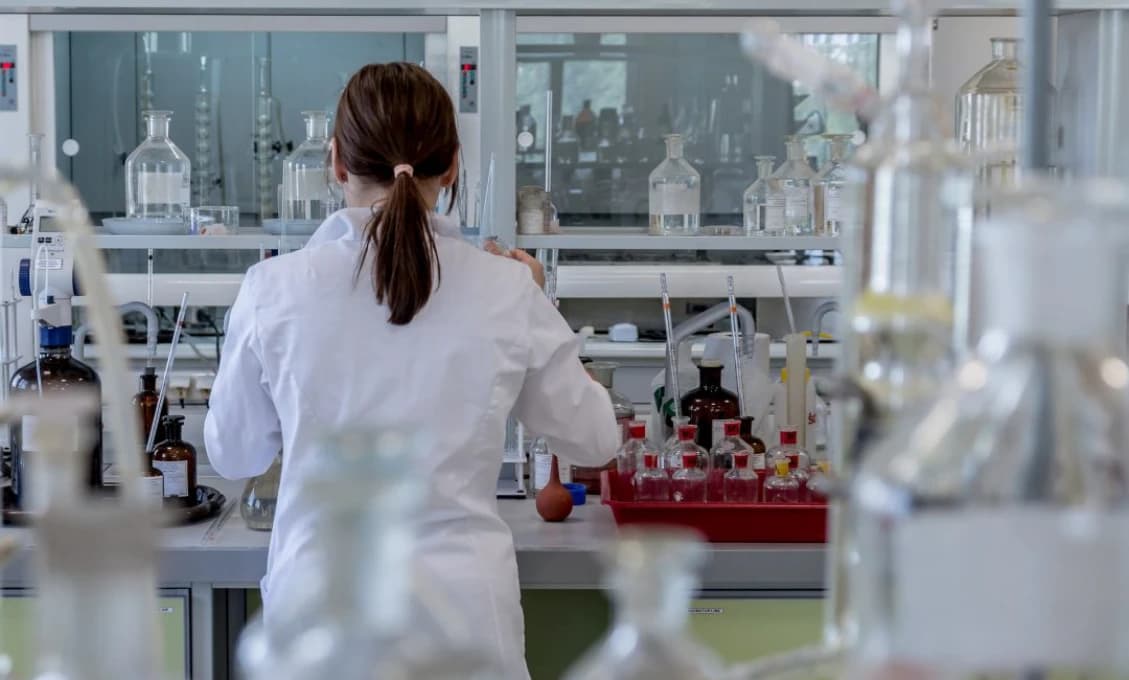 Slovensko bude v roku 2024 predsedať Regionálnemu výboru WHO