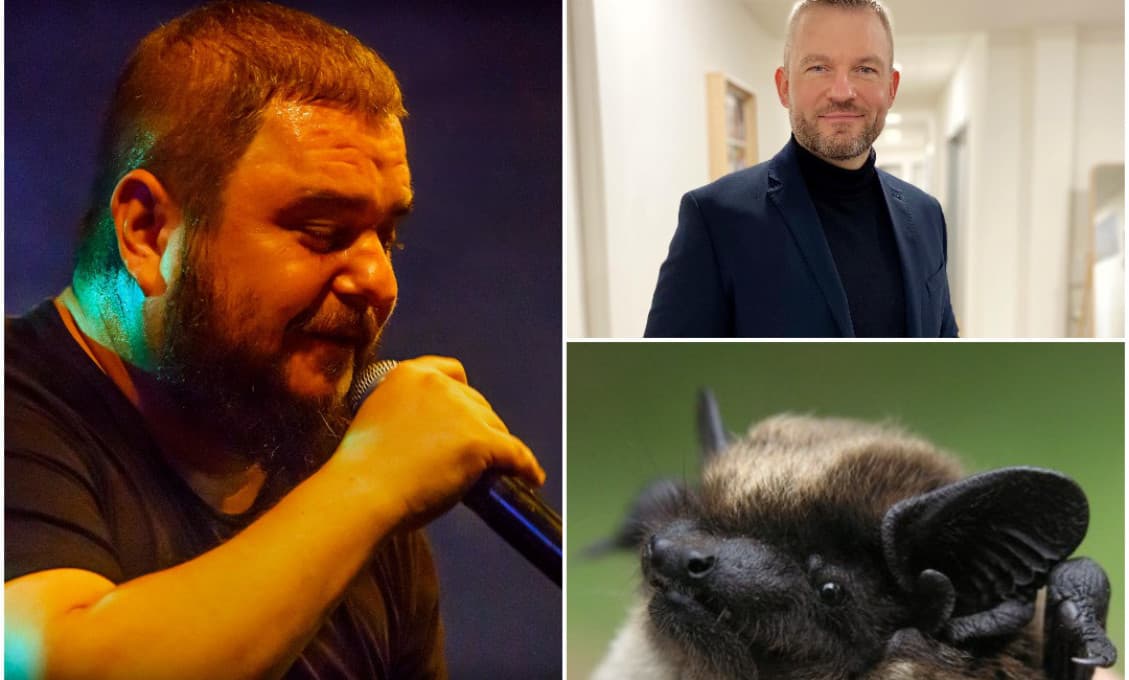 Čo majú spoločné Desmod, netopier a Pellegrini? Členovia rozhádanej kapely ostali susedmi