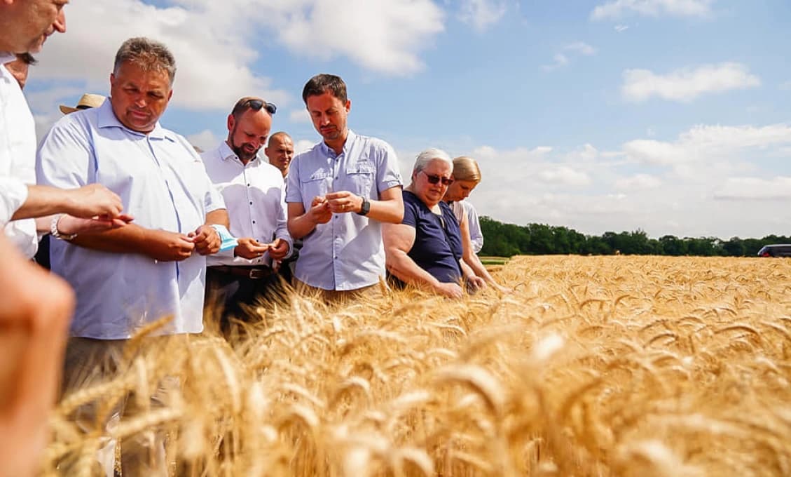 Biľakovský rituál "mrvenie zrna" a domrvenie štátu