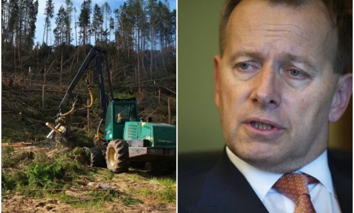 Sulík prenechal slovenské drevo Nemcom: Ako chce Kollár postaviť 100 000 bytov? Pýta sa Taraba