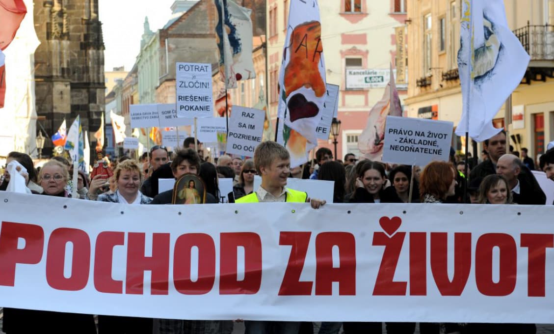 Priama demokracia - vôľa národa