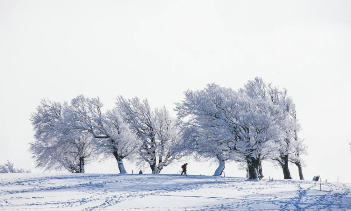 Na Slovensko sa blíži kalamita. Tentoraz snehová