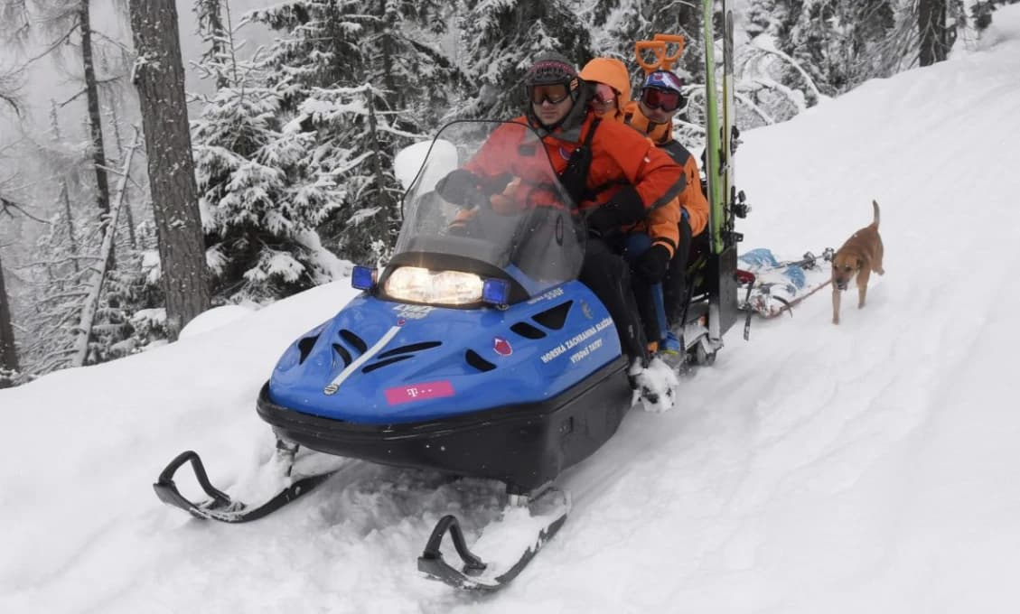 Tatry: Lesníci upozorňujú, že divá zver stráca prikrmovaním plachosť