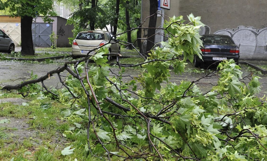 Tragédia na bratislavskej Kolibe: Zlomený konár usmrtil chlapca