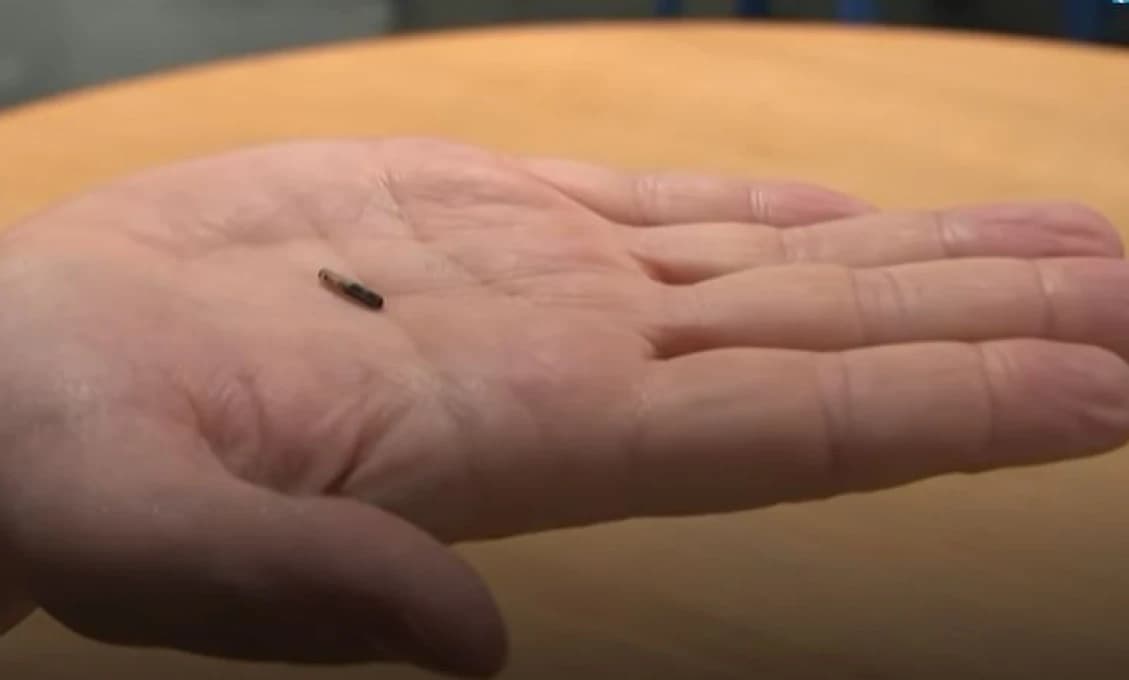 Stále pri sebe: Implantácia COVID pasu pod kožu prostredníctvom mikročipu? (VIDEO)