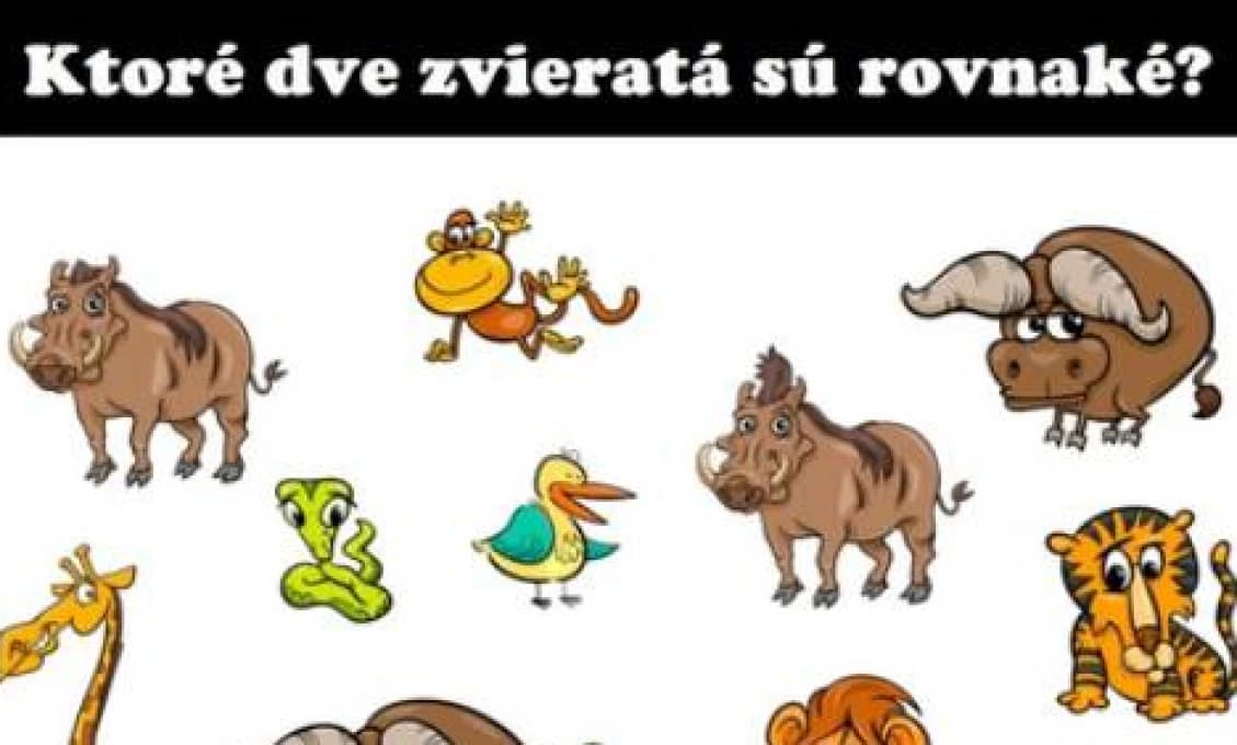Nájdete zhodu v obrázkoch? TOTO nás zaskočilo!