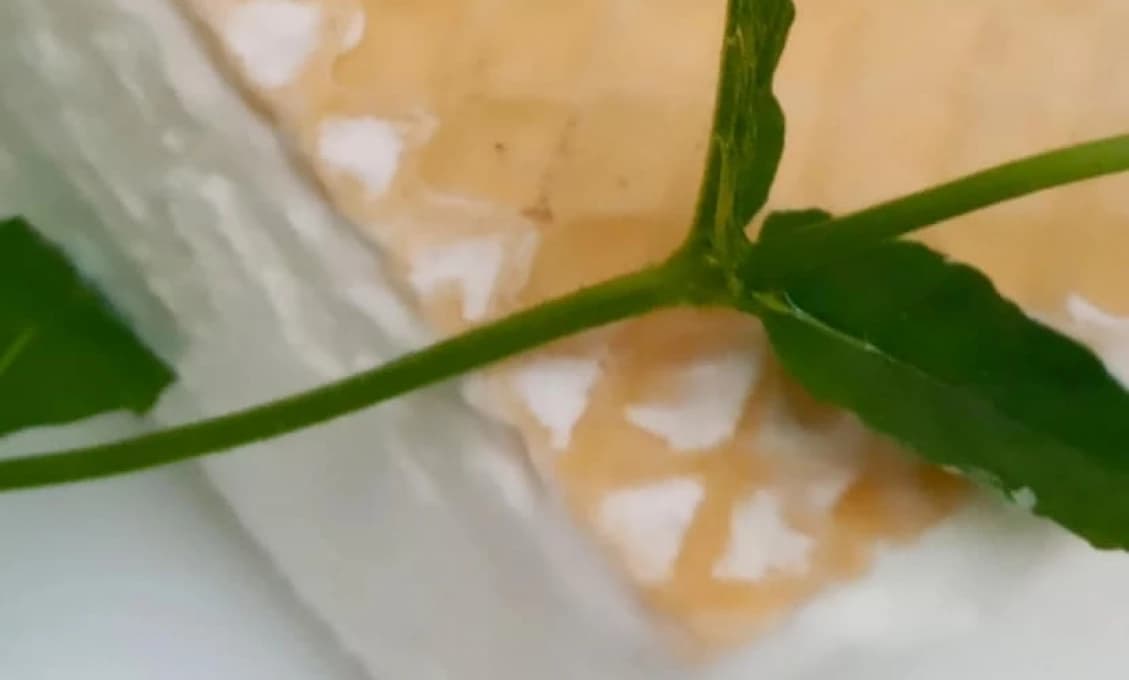Recept na Ruskú zmrzlinu už nezoženiete