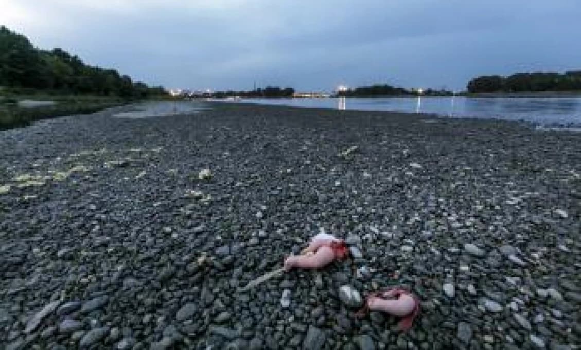 Dunaj odkryl potopené nemecké vojenské lode s tonami výbušnín