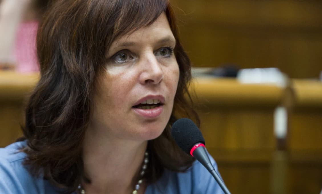 Remišová dostala "nakladačku" od exministra (VIDEO)