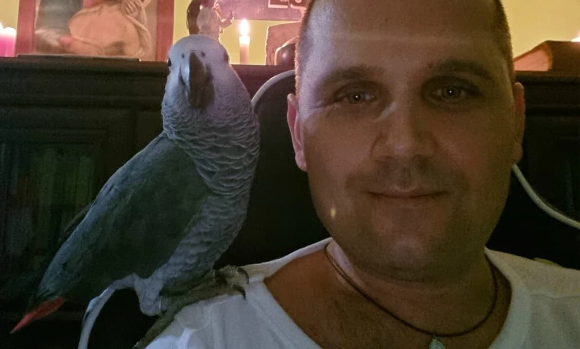 Nová hviezda internetu! SUNNY slušný papagáj baví Slovákov