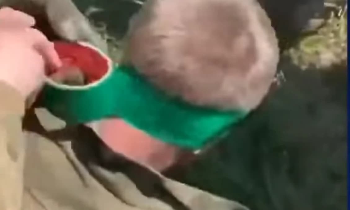 Rusko sa pomstí!