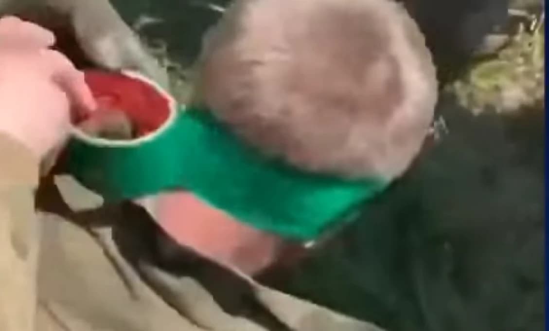 Po troche sa vzdávajú?
